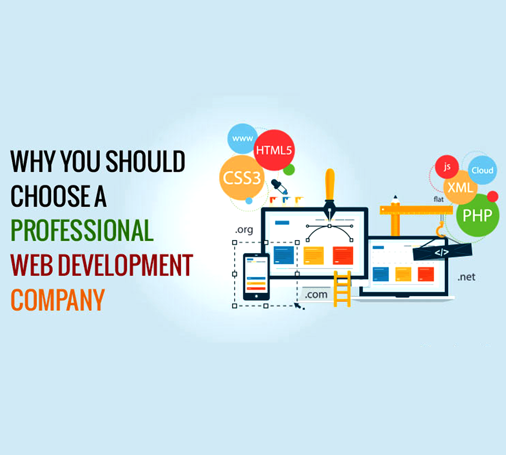 Website Development Company in Bharuch