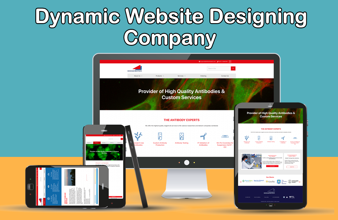 Website Designing Company in Morbi